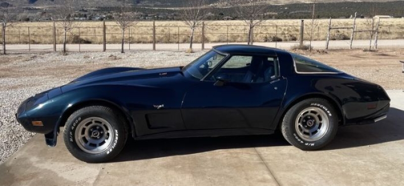 1979 Chevrolet Corvette for sale in Michigan (ID-137094)