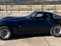1979 Chevrolet Corvette for sale in Michigan (ID-137094)