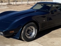 1979 Chevrolet Corvette for sale in Michigan (ID-137094)