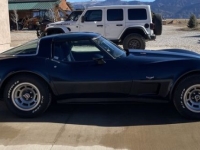 1979 Chevrolet Corvette for sale in Michigan (ID-137094)