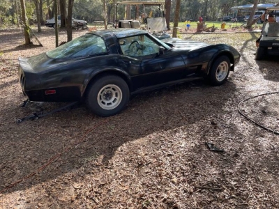 1979 Chevrolet Corvette for sale