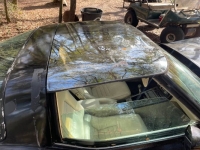 1979 Chevrolet Corvette for sale in Michigan (ID-139108)
