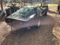 1979 Chevrolet Corvette for sale in Michigan (ID-139108)