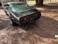 1979 Chevrolet Corvette for sale in Michigan (ID-139108)