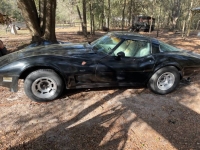 1979 Chevrolet Corvette for sale in Michigan (ID-139108)