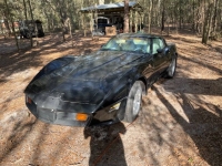 1979 Chevrolet Corvette for sale in Michigan (ID-139108)