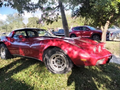1979 Chevrolet Corvette for sale
