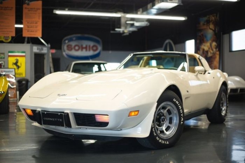 1979 Chevrolet Corvette for sale in Michigan (ID-140454)