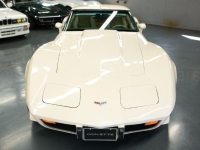 1979 Chevrolet Corvette for sale in Michigan (ID-140454)