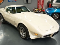 1979 Chevrolet Corvette for sale in Michigan (ID-140454)