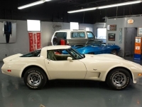 1979 Chevrolet Corvette for sale in Michigan (ID-140454)