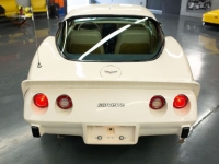 1979 Chevrolet Corvette for sale in Michigan (ID-140454)