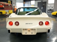 1979 Chevrolet Corvette for sale in Michigan (ID-140454)