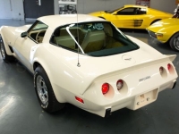 1979 Chevrolet Corvette for sale in Michigan (ID-140454)