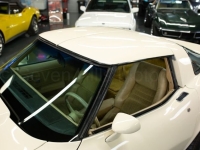 1979 Chevrolet Corvette for sale in Michigan (ID-140454)