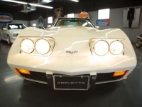 1979 Chevrolet Corvette for sale in Michigan (ID-140454)