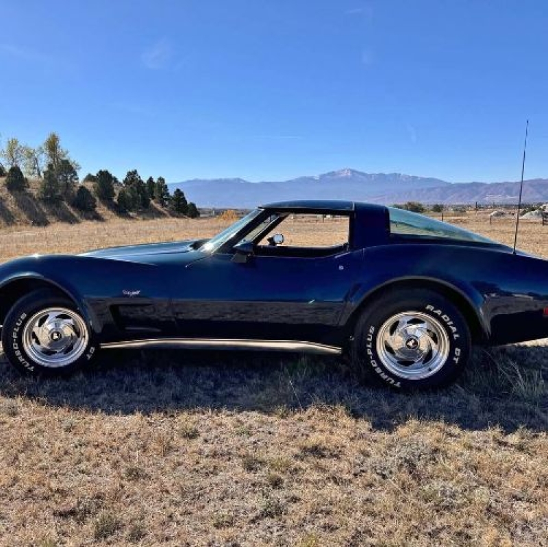 1979 Chevrolet Corvette for sale in Michigan (ID-141117) 1979 Chevrolet Corvette for sale in Michigan (ID-141117)