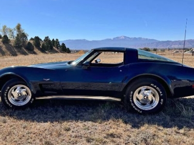 1979 Chevrolet Corvette for sale