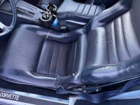 1979 Chevrolet Corvette for sale in Michigan (ID-141117)
