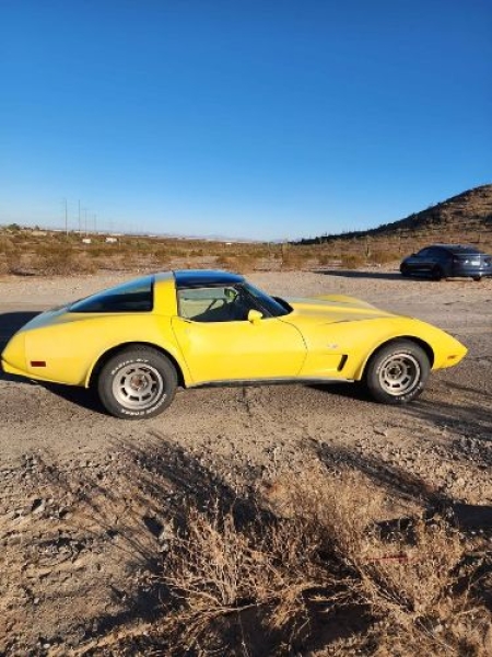 1979 Chevrolet Corvette for sale in Michigan (ID-141812)
