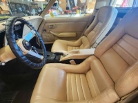 1979 Chevrolet Corvette for sale in Michigan (ID-141812)