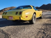 1979 Chevrolet Corvette for sale in Michigan (ID-141812)