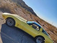 1979 Chevrolet Corvette for sale in Michigan (ID-141812)