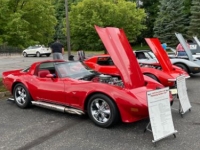 1979 Chevrolet Corvette for sale in Michigan (ID-143685)