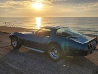 1979 Chevrolet Corvette for sale in Michigan (ID-144678)