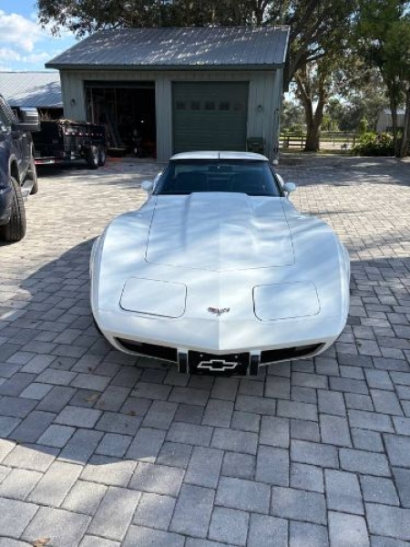 1979 Chevrolet Corvette for sale in Michigan (ID-145692)