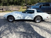 1979 Chevrolet Corvette for sale in Michigan (ID-145692)