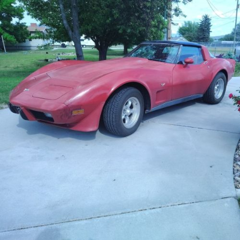 1979 Chevrolet Corvette for sale in Michigan (ID-146414)