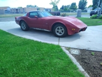 1979 Chevrolet Corvette for sale in Michigan (ID-146414)