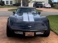 1979 Chevrolet Corvette for sale in Michigan (ID-155191)