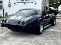 1979 Chevrolet Corvette for sale in Michigan (ID-155191)