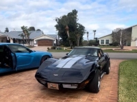 1979 Chevrolet Corvette for sale in Michigan (ID-155191)