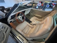 1979 Chevrolet Corvette for sale in Michigan (ID-155191)