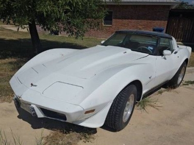 1979 Chevrolet Corvette for sale