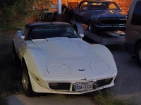 1979 Chevrolet Corvette for sale (ID-155488)