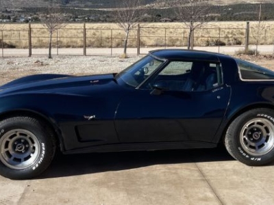 1979 Chevrolet Corvette for sale