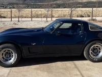 1979 Chevrolet Corvette for sale in Michigan (ID-155528)