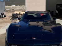 1979 Chevrolet Corvette for sale in Michigan (ID-155528)