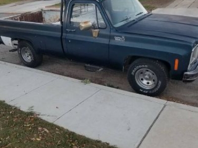 1979 Chevrolet Deluxe for sale