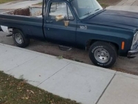 1979 Chevrolet Deluxe for sale in Michigan (ID-137741)