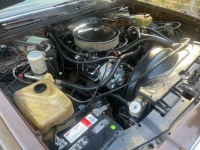 1979 Chevrolet El Camino for sale in Michigan (ID-101605)
