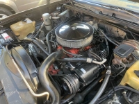 1979 Chevrolet El Camino for sale in Michigan (ID-101605)