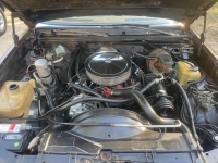 1979 Chevrolet El Camino for sale in Michigan (ID-101605)