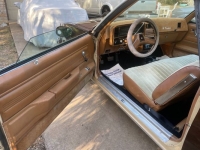 1979 Chevrolet El Camino for sale in Michigan (ID-101605)