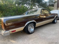 1979 Chevrolet El Camino for sale in Michigan (ID-101605)