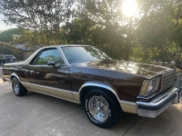 1979 Chevrolet El Camino for sale in Michigan (ID-101605)